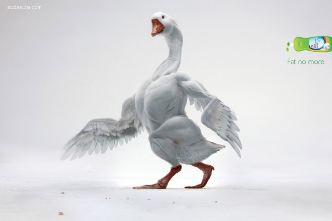 40+ 来自世界各地的最佳动物广告创意设计欣赏