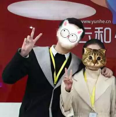 谁说程序猿找不到女朋友?这把狗粮撒的有点猝不及防!