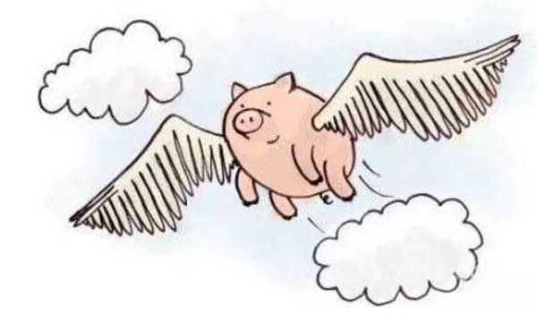 1545963745417725.jpg 配图3 风口上的猪.jpg