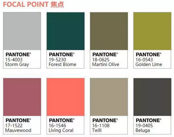 1551496698992115.jpg 配图4 焦点.jpg