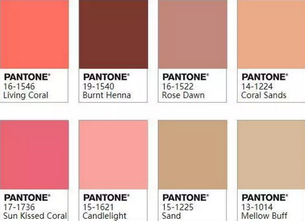 1551496762751725.jpg 配图6 和蔼可亲的.jpg