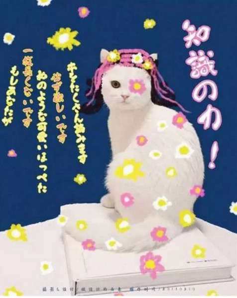 1560405575746145.jpg 配图14 拍一张照片就能设计成一幅海报.jpg