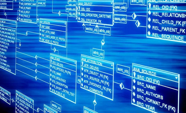 1564465615455272.jpg 配图6 Web全栈开发者需要具备哪些技能.jpg