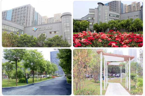 1565076727115357.jpg 配图1 云和数据高大上的办公环境.jpg