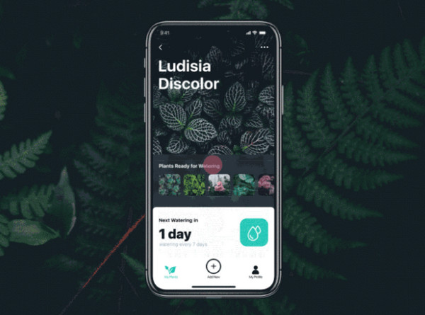 1568771398361296.jpg 配图11 时下流行的UI设计趋势.jpg